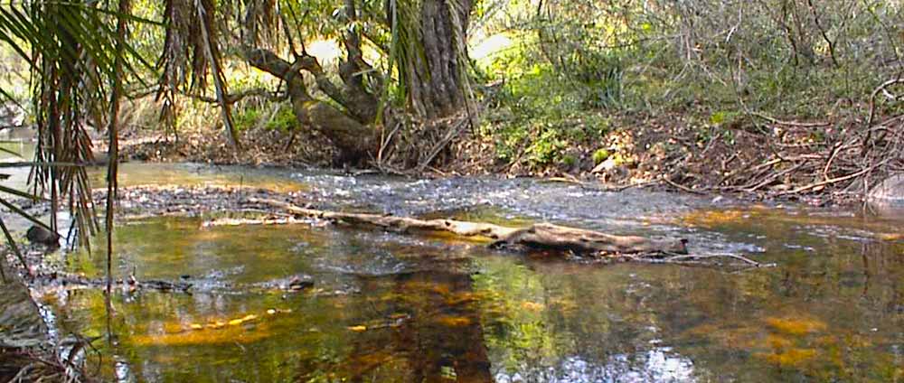 Gold Panning Queens River Barberton