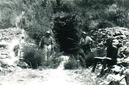 New consort gold mine barberton